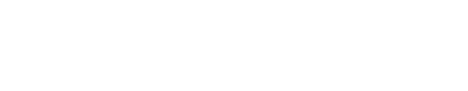 Dr. Hileri Mori - Logo